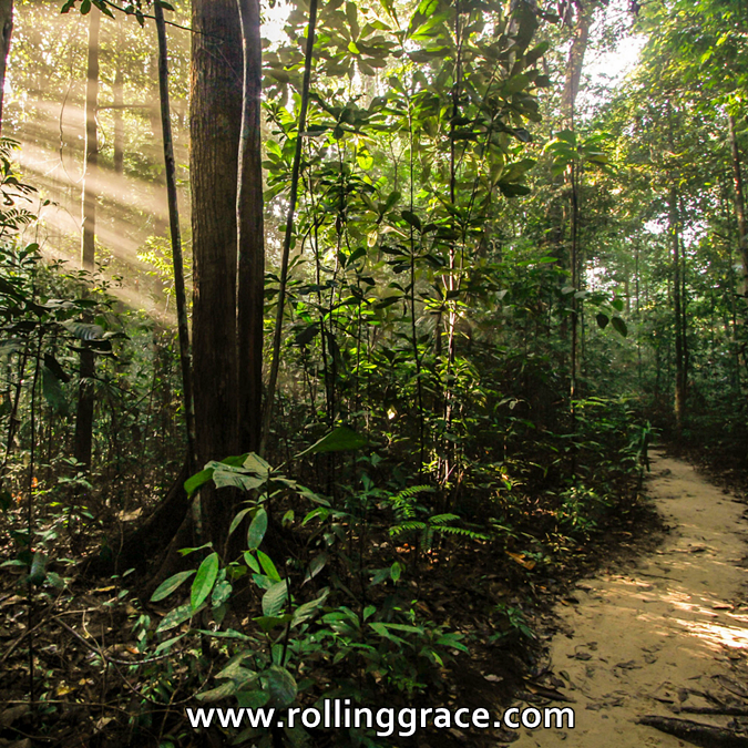 Hiking Gunung Datuk