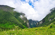 Valley of Flowers National Park (valley of flowers national park)