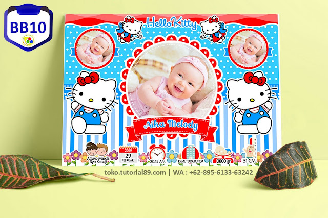 Biodata Bayi Costume Baby Girl Kode BB10 | Hello Kitty