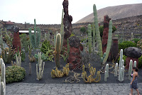 Jardín de Cactus