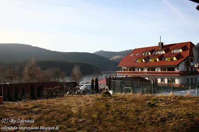 Schluchsee-Aha