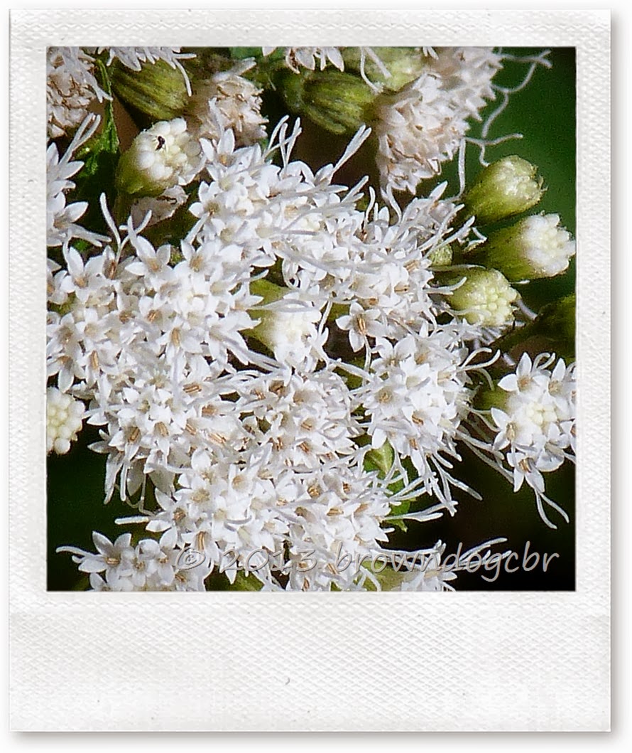 P1250875
