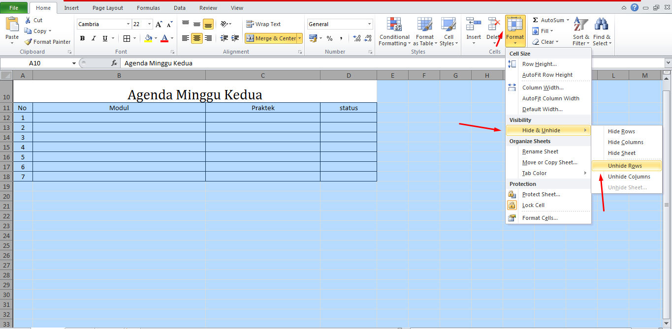 Belajar Excel : Cara Menyembunyikan / Menampilkan Baris 