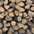 La operación Quercus surte efecto sobre traficantes de la madera
ilegal
