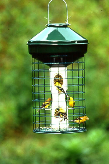 Bird Feeder Crafts