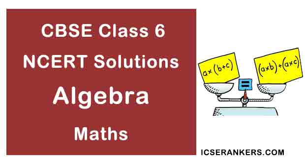 NCERT Solutions for Class 6th Maths Chapter 11 Algebra