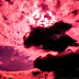 El consorte del cielo - Por Vanessa Sosa