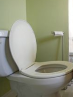 difficulté à uriner, incontinence urinaire, urine vert, pipi, urination, problème pour uriner