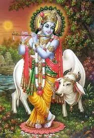लगन तुमसे लगा बैठे - Lagan Tumse laga Baithe - Krishna Bhajan 