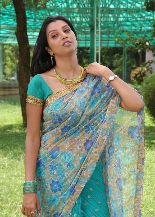 madhulika in saree hot photoshoot