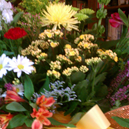 View album