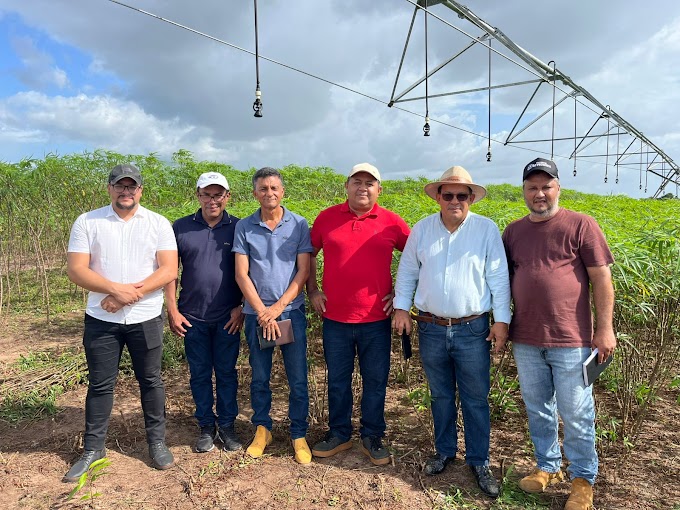    Secretaria de Agricultura de Açailândia realiza visita técnica em propriedade de plantio de mandioca em Bragança no Estado do Pará.
