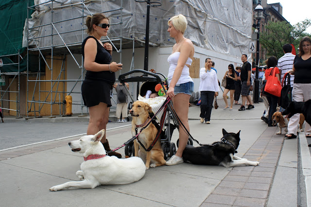 Woofstock Toronto 2012 in Photos by Omar Cherif, One Lucky Soul