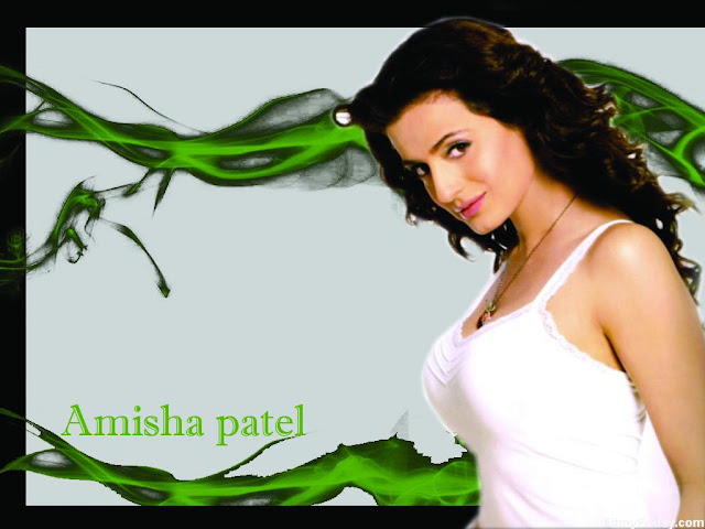 Amisha Patel Hd Wallpapers