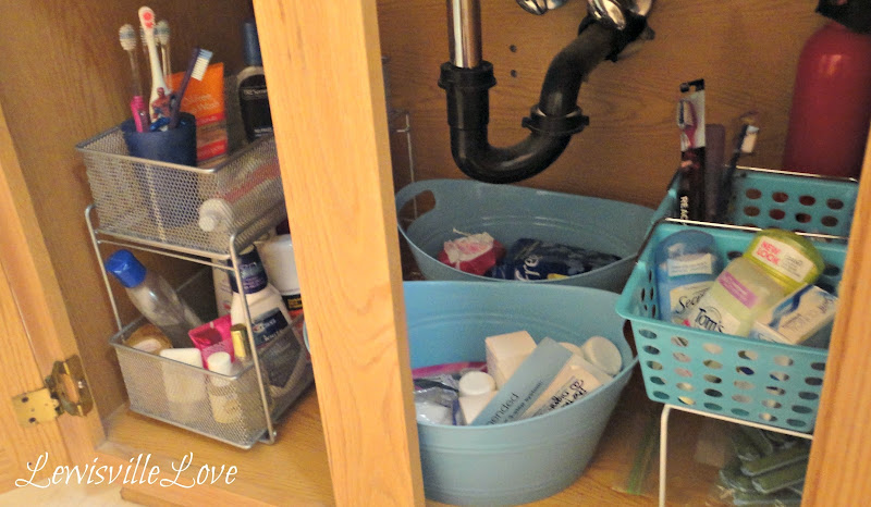 Organizing under the bathroom sink title=