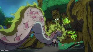 ワンピース アニメ 1081話 モモの助 ONE PIECE Episode 1081