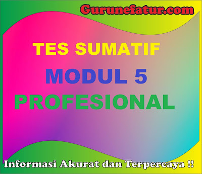 Tes Sumatif Modul 5 Profesional