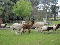 Margaret River Hideaway