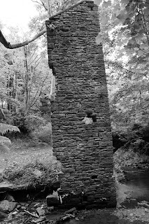 <img src="Coal Bank Mill near Rochdale.jpeg" alt=" images of  mill ruins">