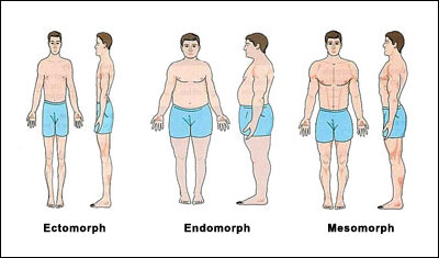 From Fat To Six Packs Day 63 Ectomorph Mesomorph Or Endomorph