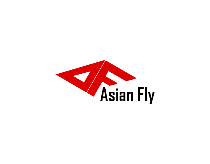 Logo Asian Fly