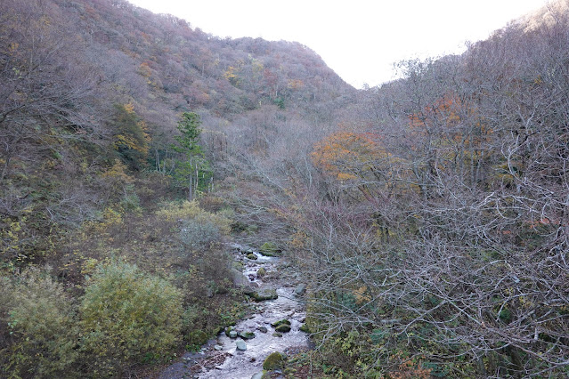 鳥取県西伯郡大山町 大山環状道路 阿弥陀川