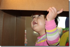 Picture 016