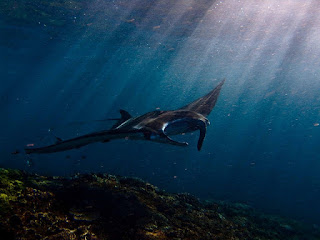 Nusa Lembongan