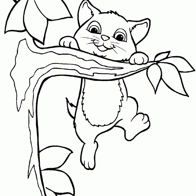 Cool Cats Coloring Page 