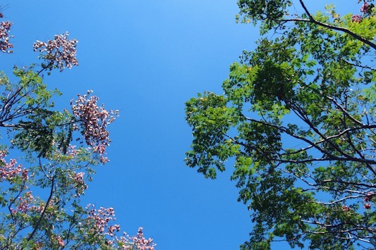 R0065796