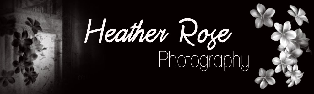 <center> Paradise Ca Photographer, Chico Ca, Oroville Ca Photographer</center>