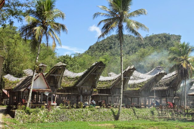 Traditional Tana Torajan houses at Kete Kesu village