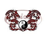 dragons tattoo / Yin Yang tattoo / chinese writing tattoo dragons tattoo / chinese writing tattoo: Year of the Dragon