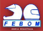 Fiscalizadora