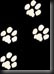 whitepawprintsonblkbackgrnd