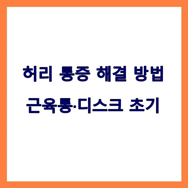 허리 통증 해결 방법, 근육통·디스크 초기 대응 가이드