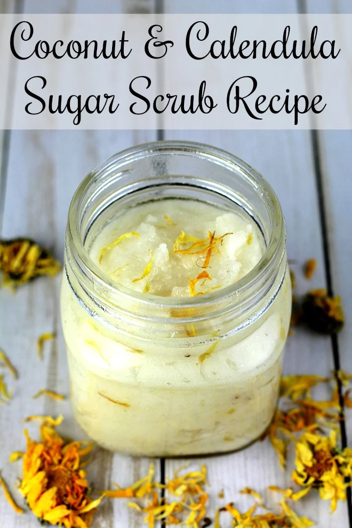 Coconut and Calendula Sugar Scrub Recipe