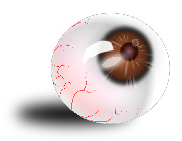 Struktur mata