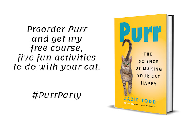 Purr preorder campaign