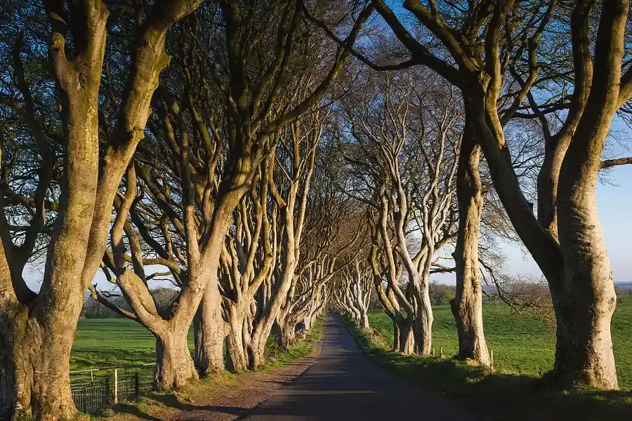 Ballymoney Northern Ireland