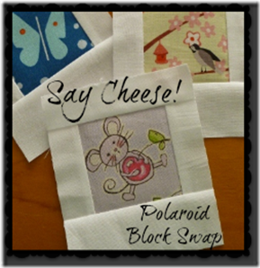 Polaroid Block Swap