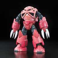 Bandai RG 1/144 MSM-07S Z'Gok (Char version) English Manual & Color Guide