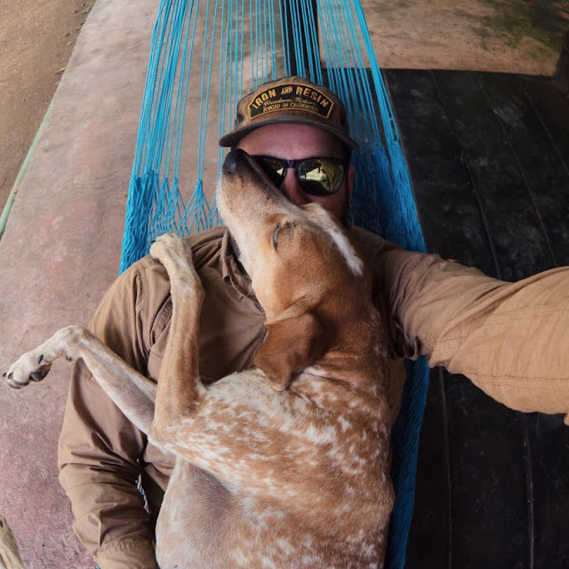 Fotógrafo leva seu cão resgatado Maddie por uma épica aventura pelos EUA