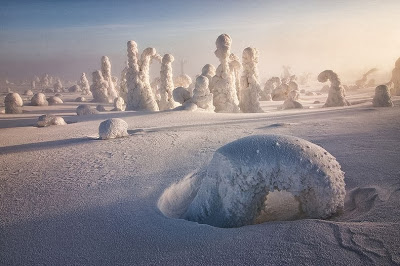 итальянский фотограф 