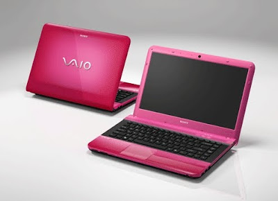 Sony Vaio VPCEA15FG/P