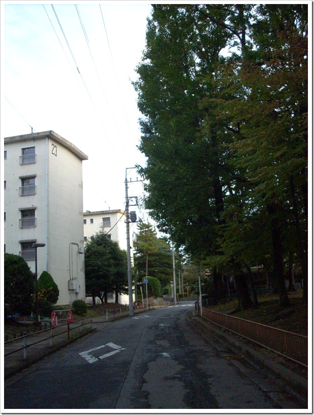 20111112_154756