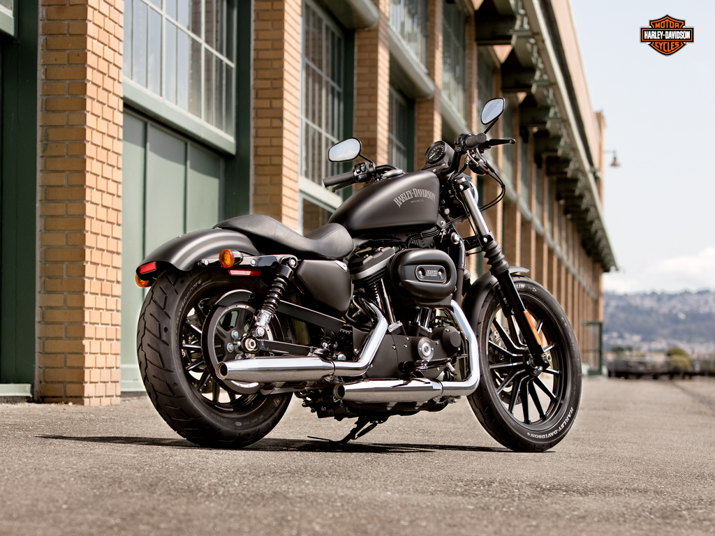 2013 harley 883 sportster The 2013 Iron 883. Photo courtesy Harley Davidson.