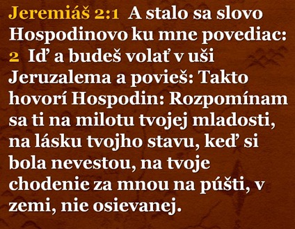 Snímka5