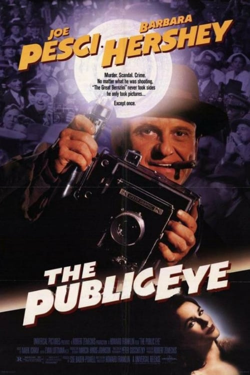 Watch The Public Eye 1992 Full Movie With English Subtitles