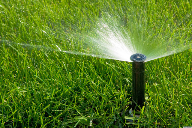 Irrigation companies in Tucson